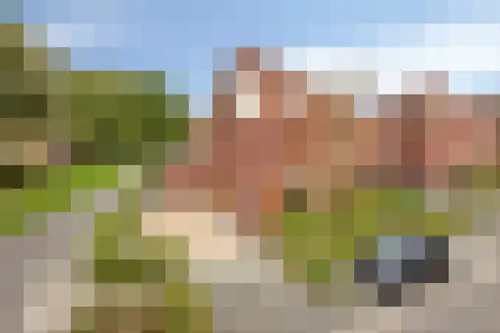 Munt 5 A Dordrecht thumbnail 7