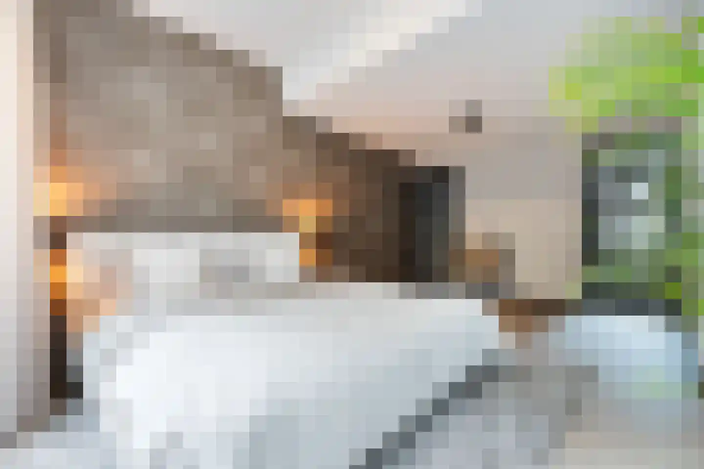 Munt 5 A Dordrecht thumbnail 7