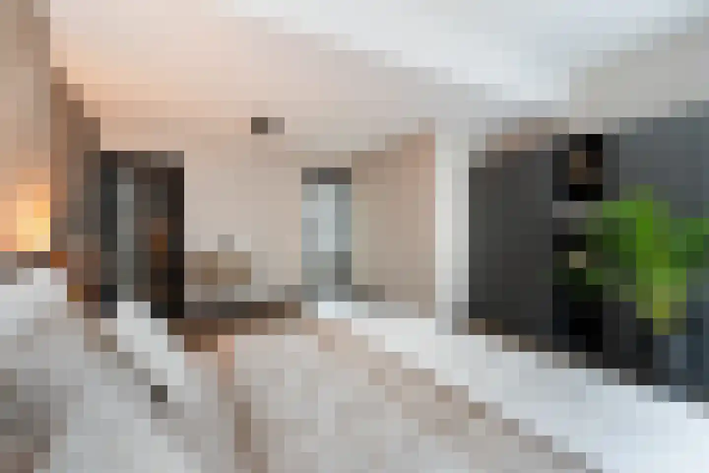 Munt 5 A Dordrecht thumbnail 8