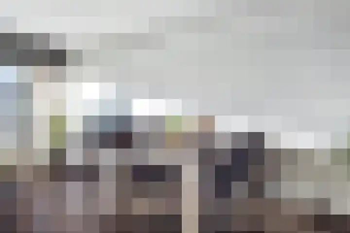 Munt 58 Heerenveen thumbnail 6