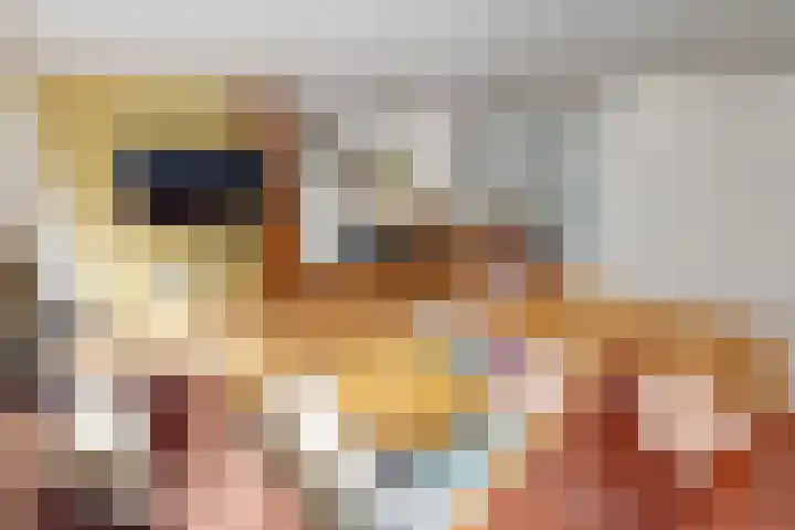 Munt 8 Hoogkarspel thumbnail 10