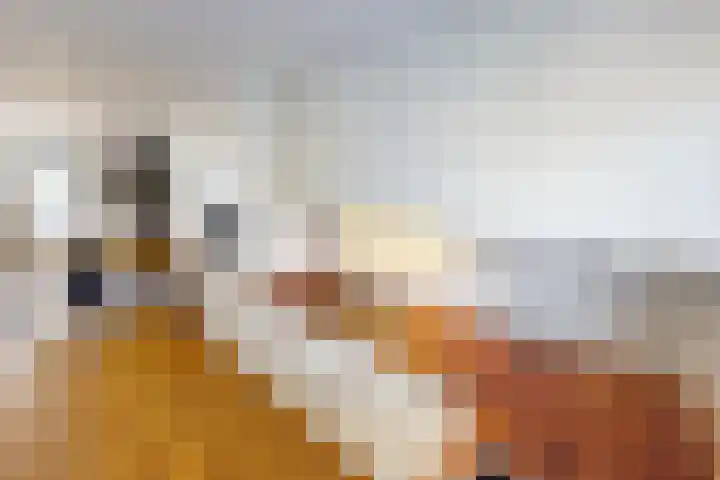 Munt 8 Hoogkarspel thumbnail 18