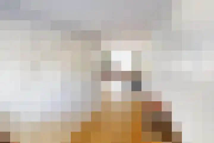 Munt 8 Hoogkarspel thumbnail 19