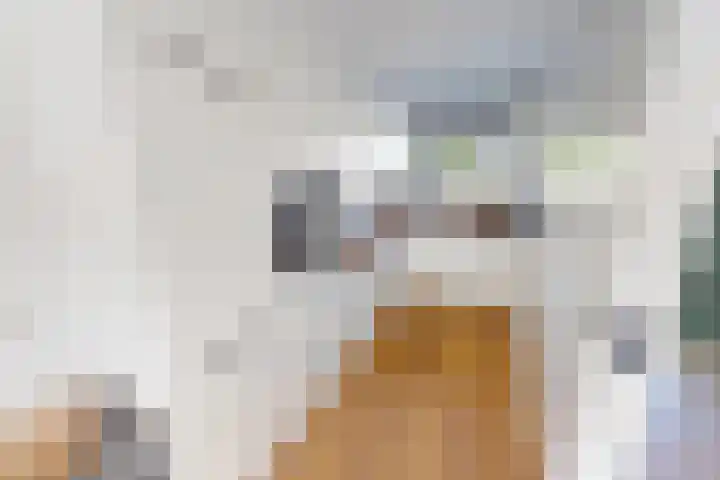 Munt 8 Hoogkarspel thumbnail 20