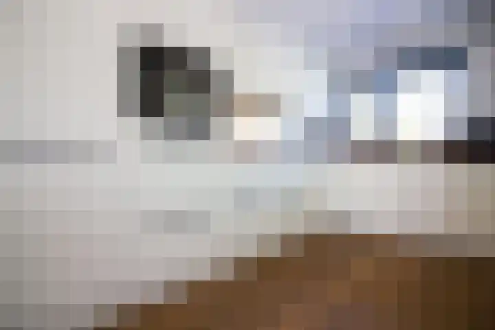 Munt 8 Hoogkarspel thumbnail 22