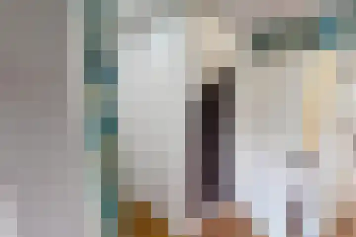 Munt 8 Hoogkarspel thumbnail 24