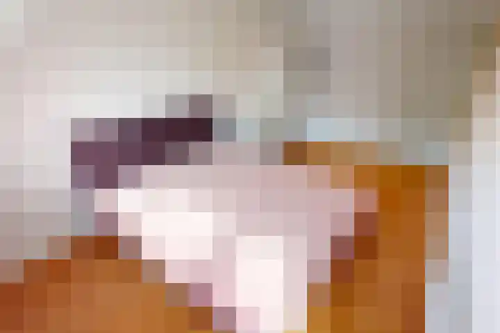 Munt 8 Hoogkarspel thumbnail 26
