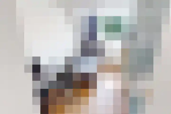Munt 8 Hoogkarspel thumbnail 37