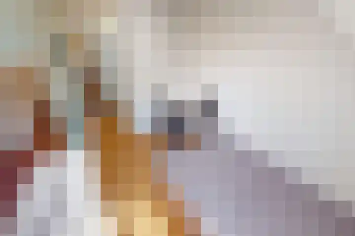 Munt 8 Hoogkarspel thumbnail 38