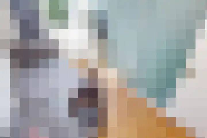 Munt 8 Hoogkarspel thumbnail 39
