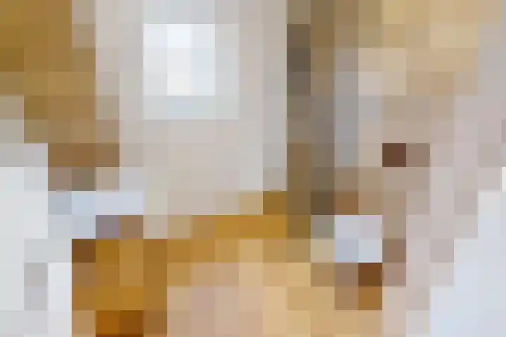 Munt 8 Hoogkarspel thumbnail 40