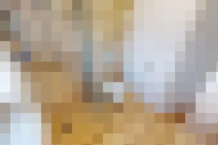Munt 8 Hoogkarspel thumbnail 41