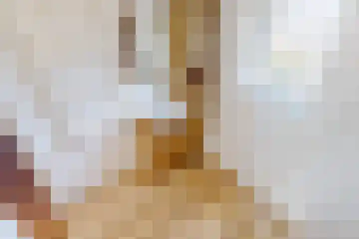 Munt 8 Hoogkarspel thumbnail 42