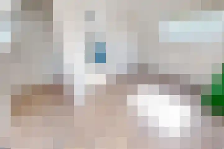 Munt 8 Hoogkarspel thumbnail 46
