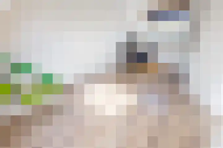 Munt 8 Hoogkarspel thumbnail 47
