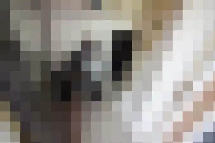 Munt 8 Hoogkarspel thumbnail 50