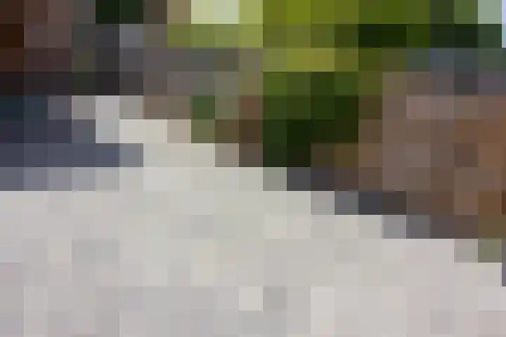 Munt 8 Hoogkarspel thumbnail 51