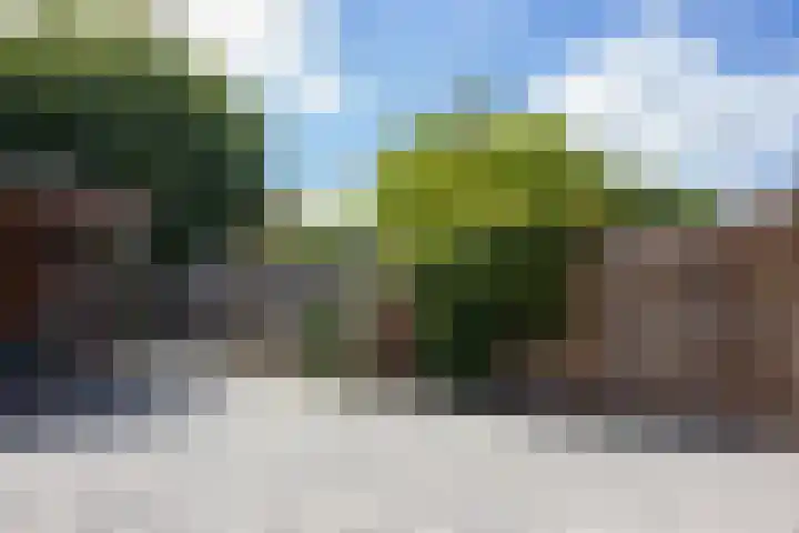 Munt 8 Hoogkarspel thumbnail 52