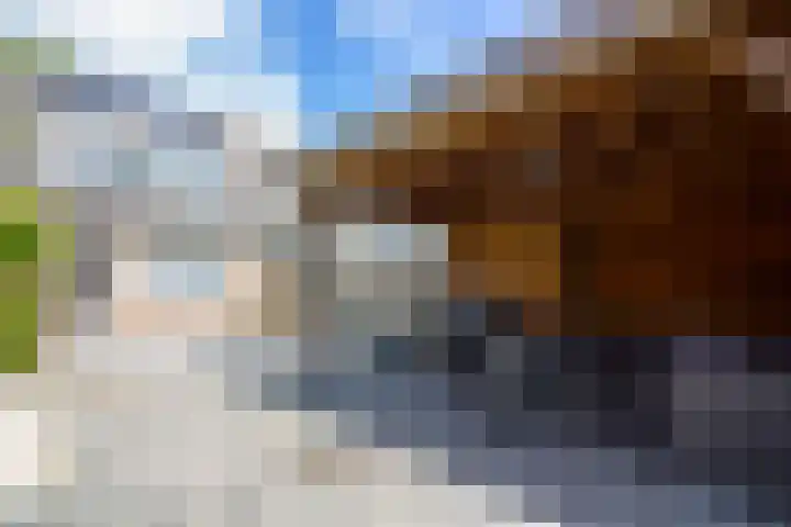 Munt 8 Hoogkarspel thumbnail 56