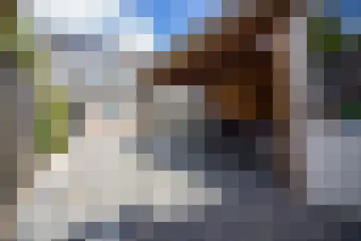 Munt 8 Hoogkarspel thumbnail 57