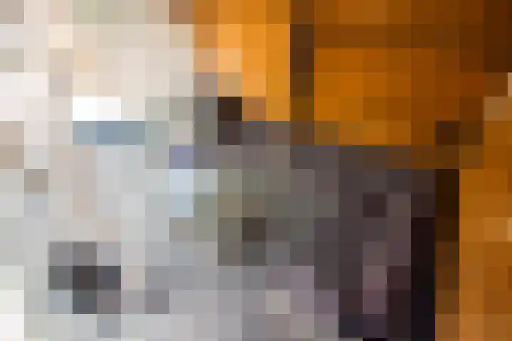Munt 8 Hoogkarspel thumbnail 58