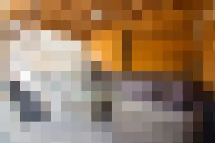 Munt 8 Hoogkarspel thumbnail 59