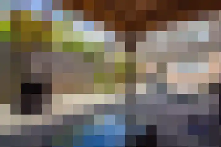Munt 8 Hoogkarspel thumbnail 62