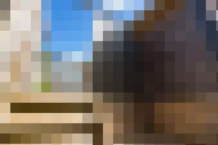 Munt 8 Hoogkarspel thumbnail 64