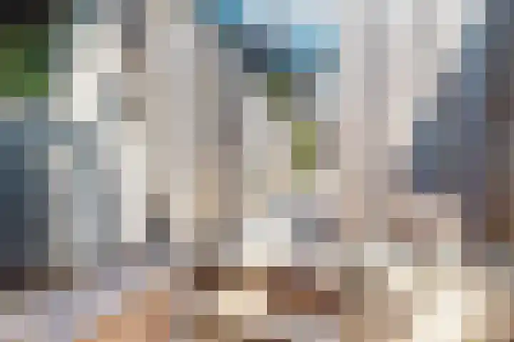 Munt 8 Hoogkarspel thumbnail 65