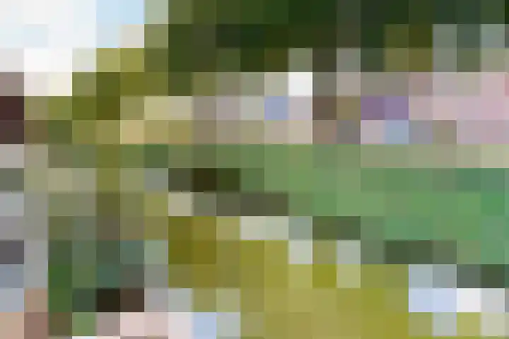 Munt 8 Hoogkarspel thumbnail 67