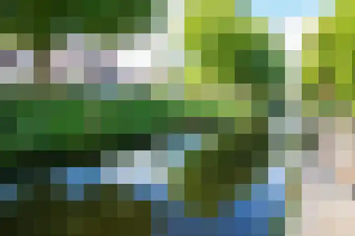 Munt 8 Hoogkarspel thumbnail 68