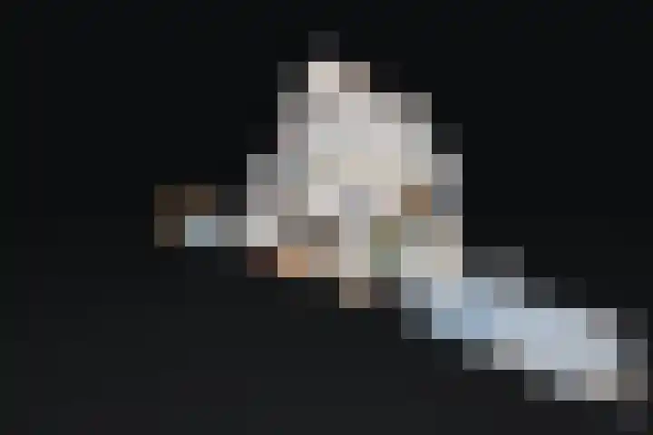 Munt 8 Hoogkarspel thumbnail 69