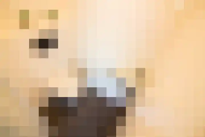 Munt 8 Hoogkarspel thumbnail 7