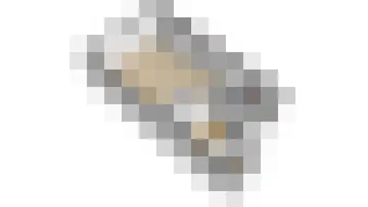 Munt 8 Hoogkarspel thumbnail 75