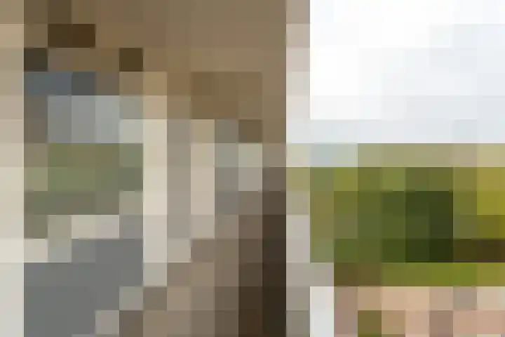 Munt 99 Heerenveen thumbnail 24