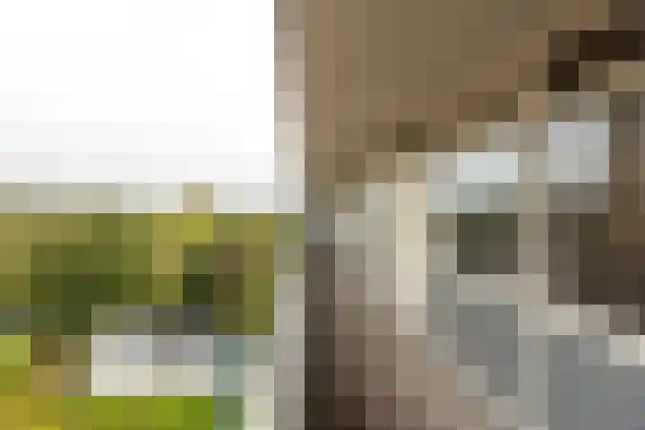 Munt 99 Heerenveen thumbnail 25