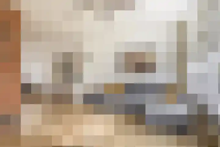 Munte 13 Veendam thumbnail 11