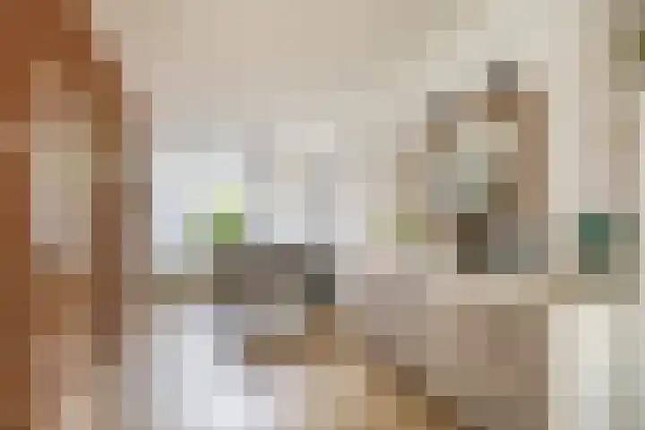 Munte 13 Veendam thumbnail 12