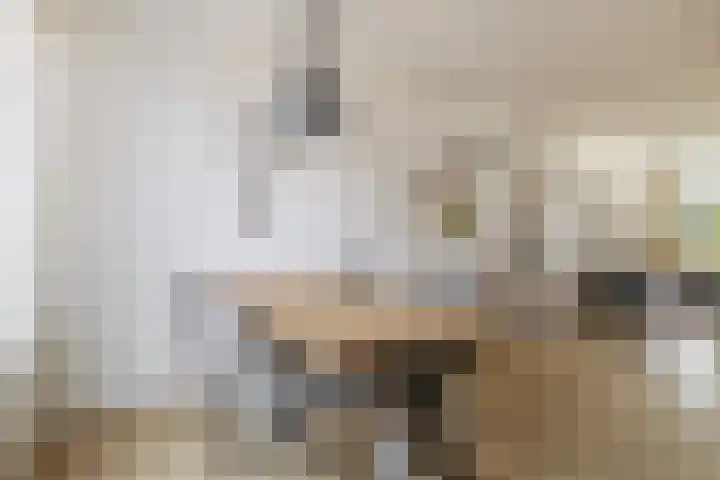 Munte 13 Veendam thumbnail 14