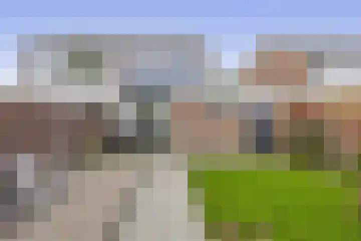Munte 13 Veendam thumbnail 26