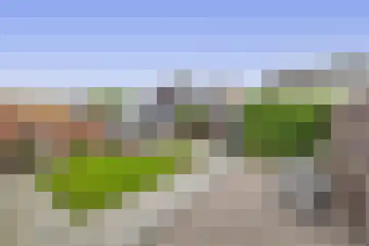 Munte 13 Veendam thumbnail 27