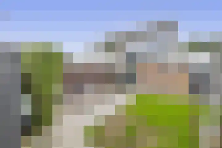 Munte 13 Veendam thumbnail 28