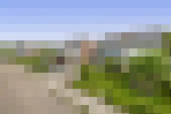 Munte 13 Veendam thumbnail 29