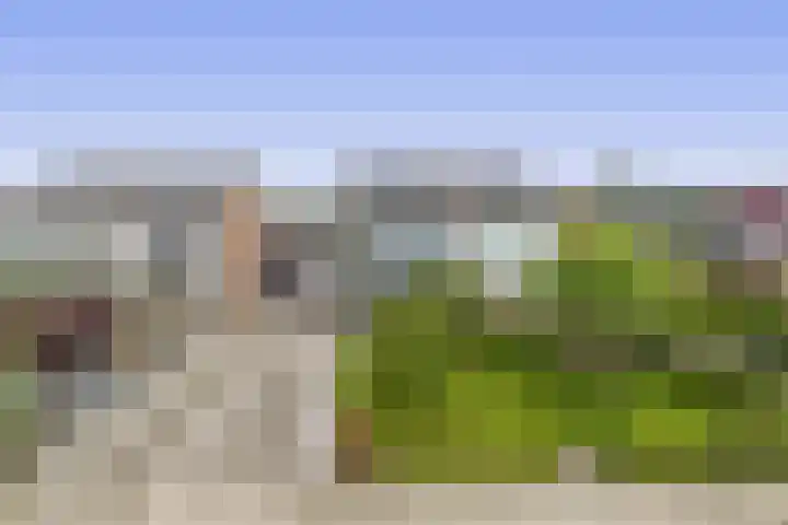 Munte 13 Veendam thumbnail 30