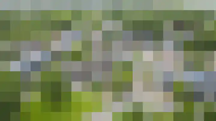 Munte 13 Veendam thumbnail 34