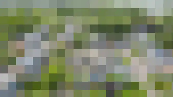 Munte 13 Veendam thumbnail 35