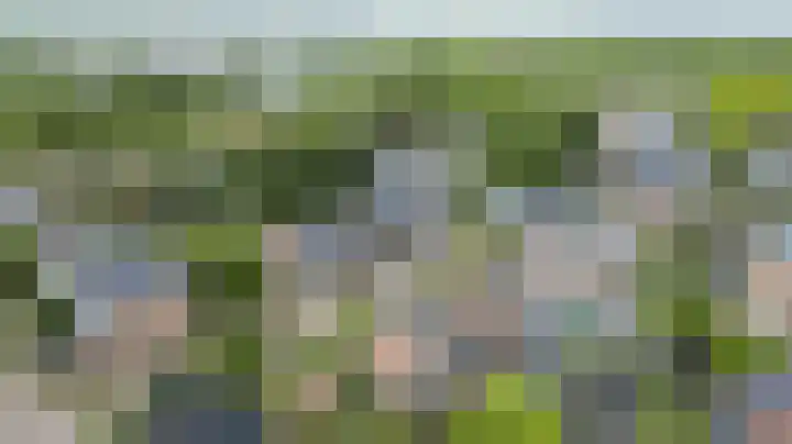 Munte 13 Veendam thumbnail 37
