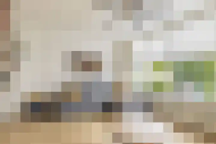 Munte 13 Veendam thumbnail 4