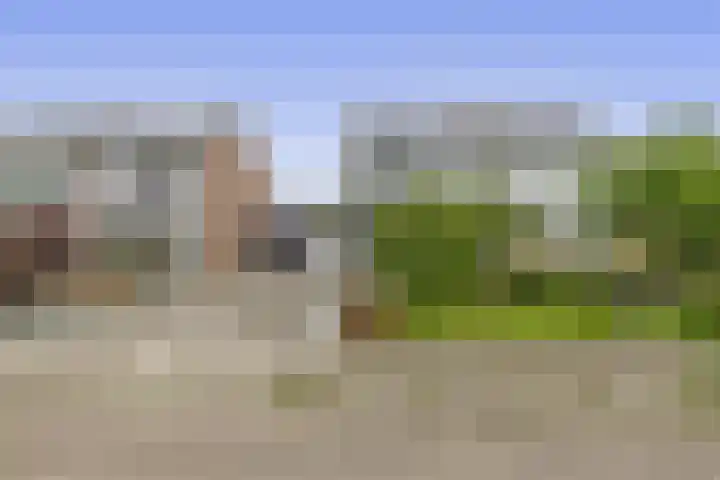 Munte 13 Veendam thumbnail 6