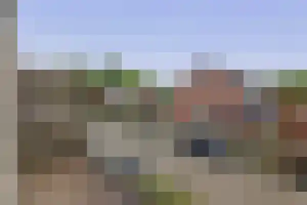 Munte 21 Veendam thumbnail 19